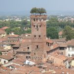 Torre Guinigi, 1300s, Lucca